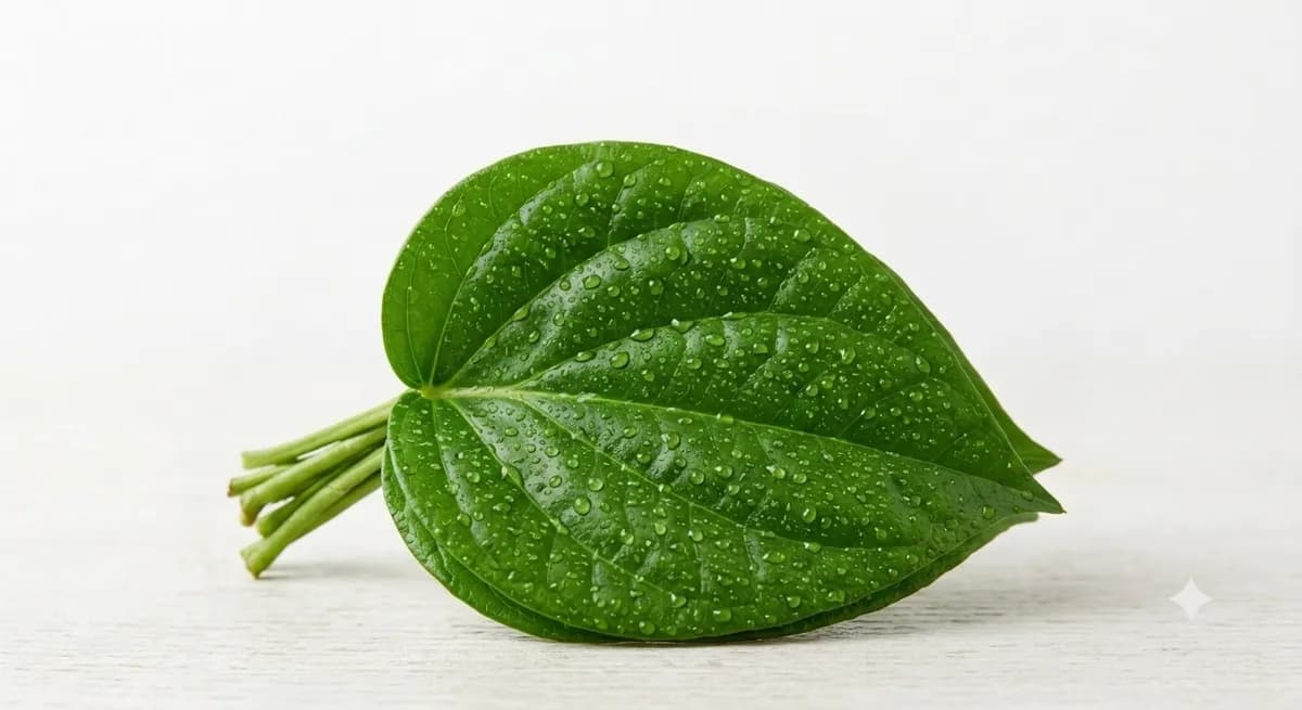 Betel Leaves