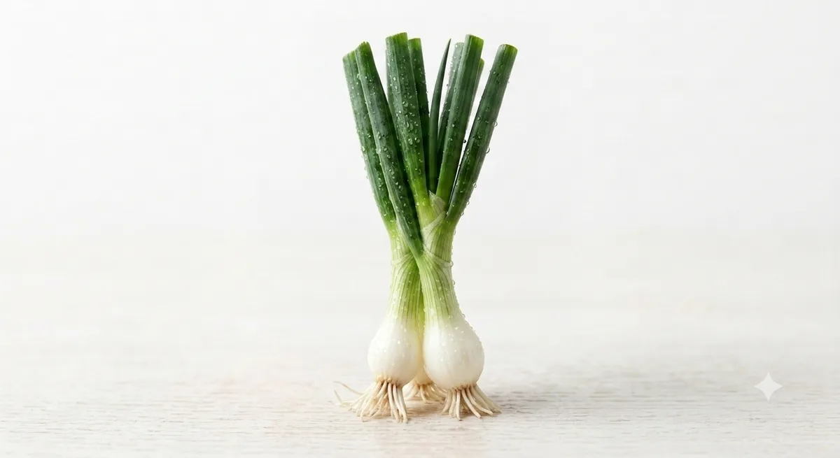 Spring Onion