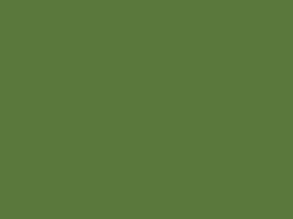 Snake Gourd
